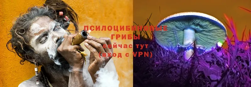 Псилоцибиновые грибы Magic Shrooms  Заинск 